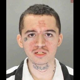 columbiapaman